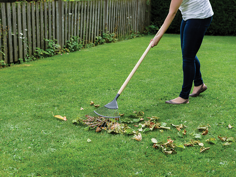 Garden Tools :: Lawn & Hedge Care :: Lawn & Leaf Rakes :: Kent & Stowe ...