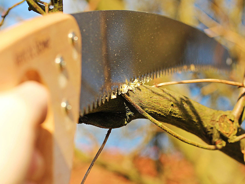 Garden Tools Pruning Pruning Saws Kent & Stowe Pruning Saw CTS Grangemouth, Scotland